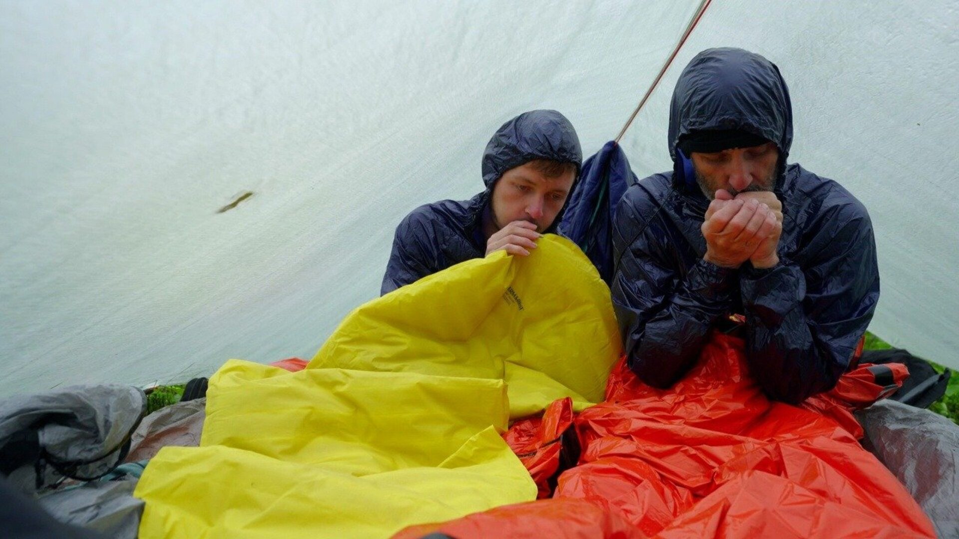 Race to Survive: Alaska