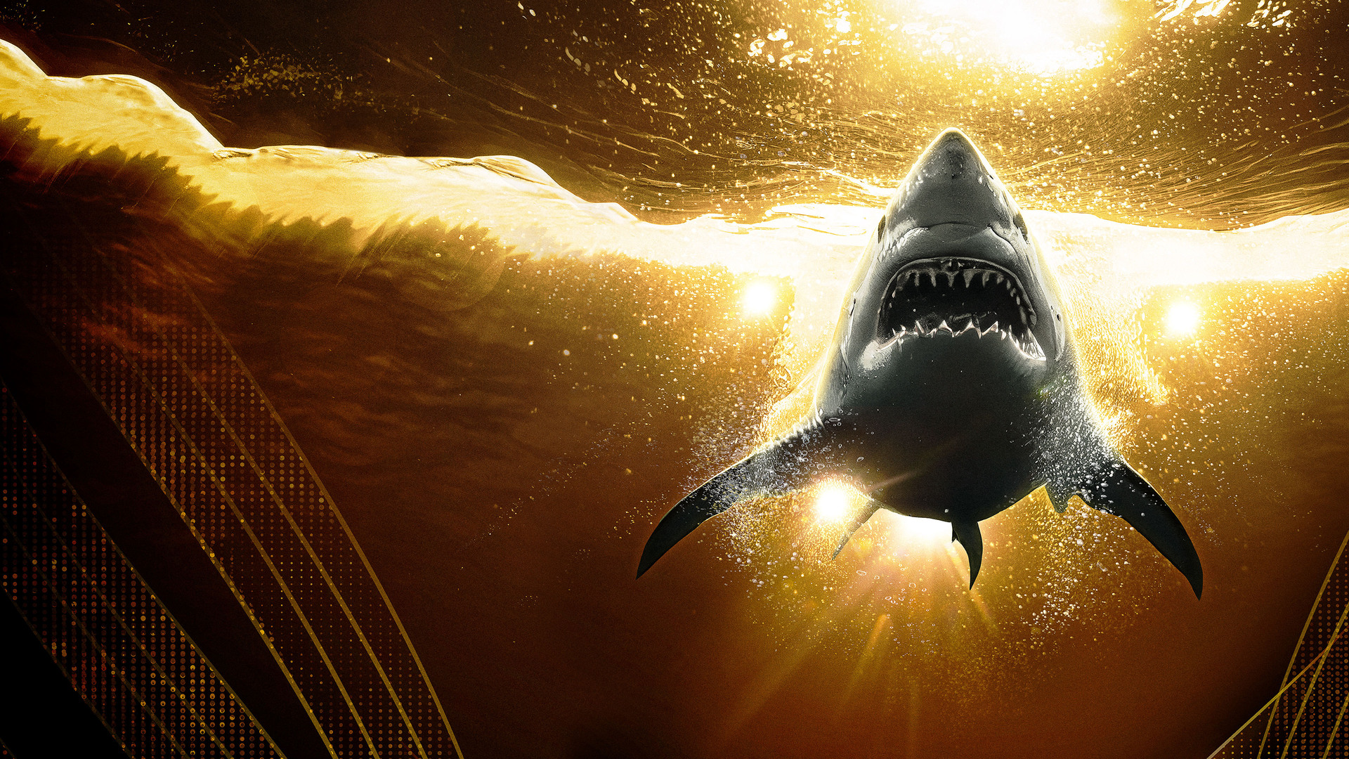 Semana do Tubarão: Melhores Mordidas