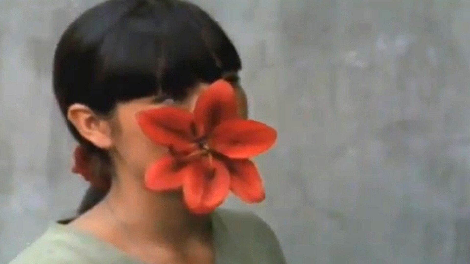 Contraplano : Ameríndia Hoje