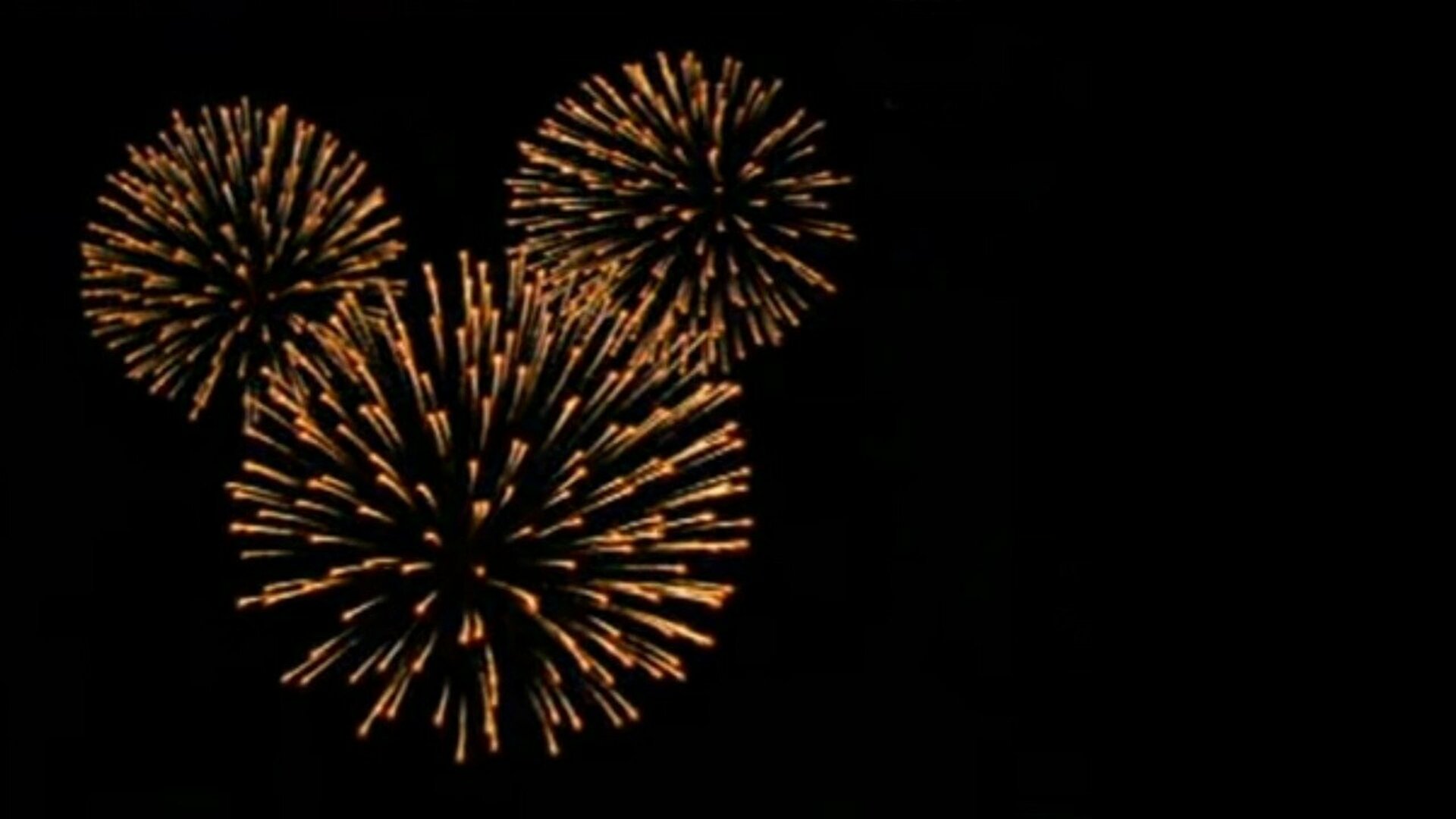 Por Dentro do Assunto : Tubarão