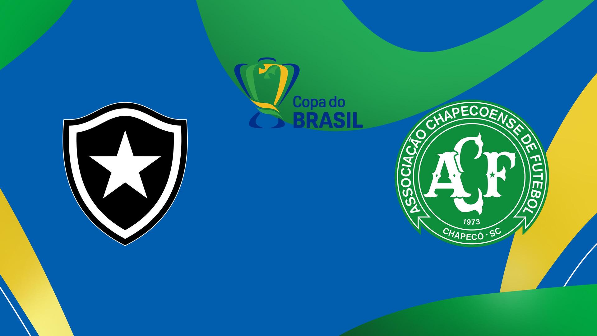 Botafogo x Chapecoense - Copa do Brasil : Botafogo x Chapecoense