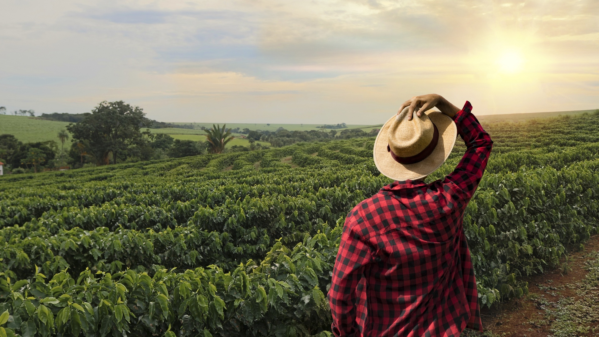 Ligados e Integrados - Vida no Campo