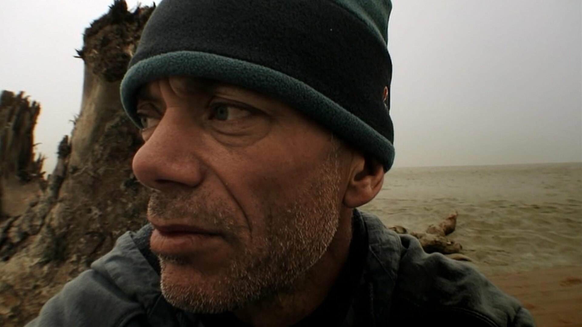 Monstros do Rio : Piranha