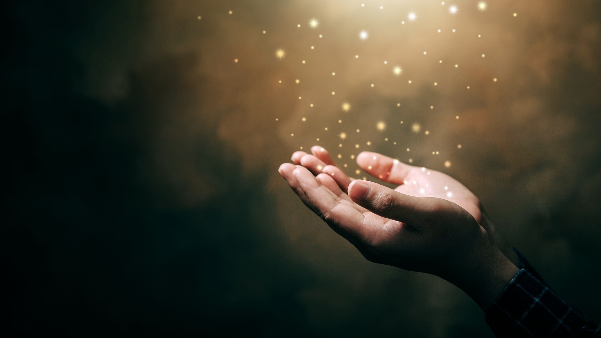 Meditação da Palavra