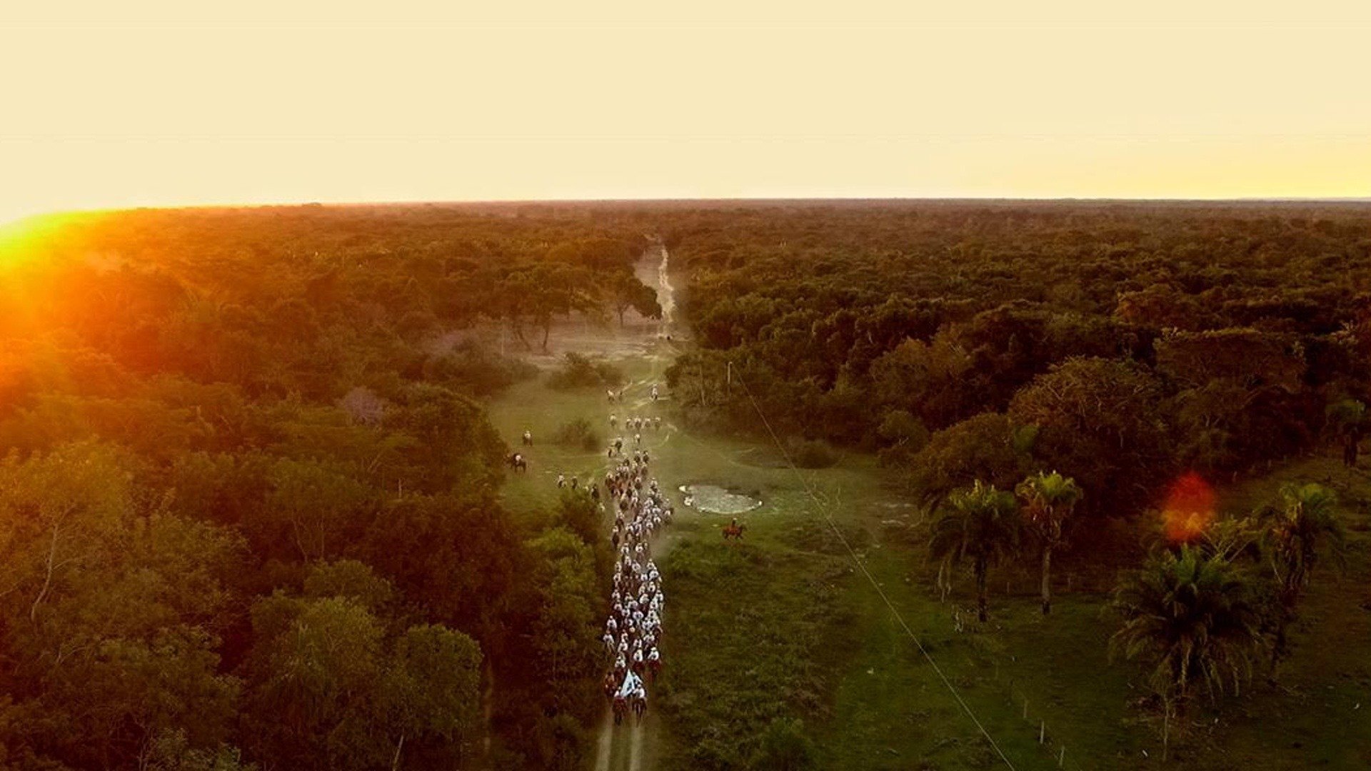 Pantanal - A Boa Inocência de Nossas Origens