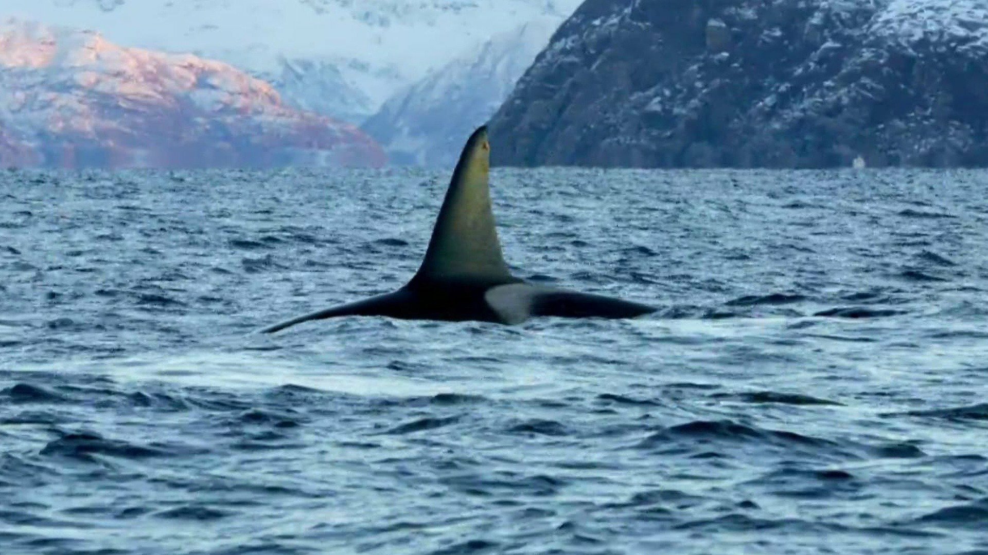 Vida no Azul : O Recife