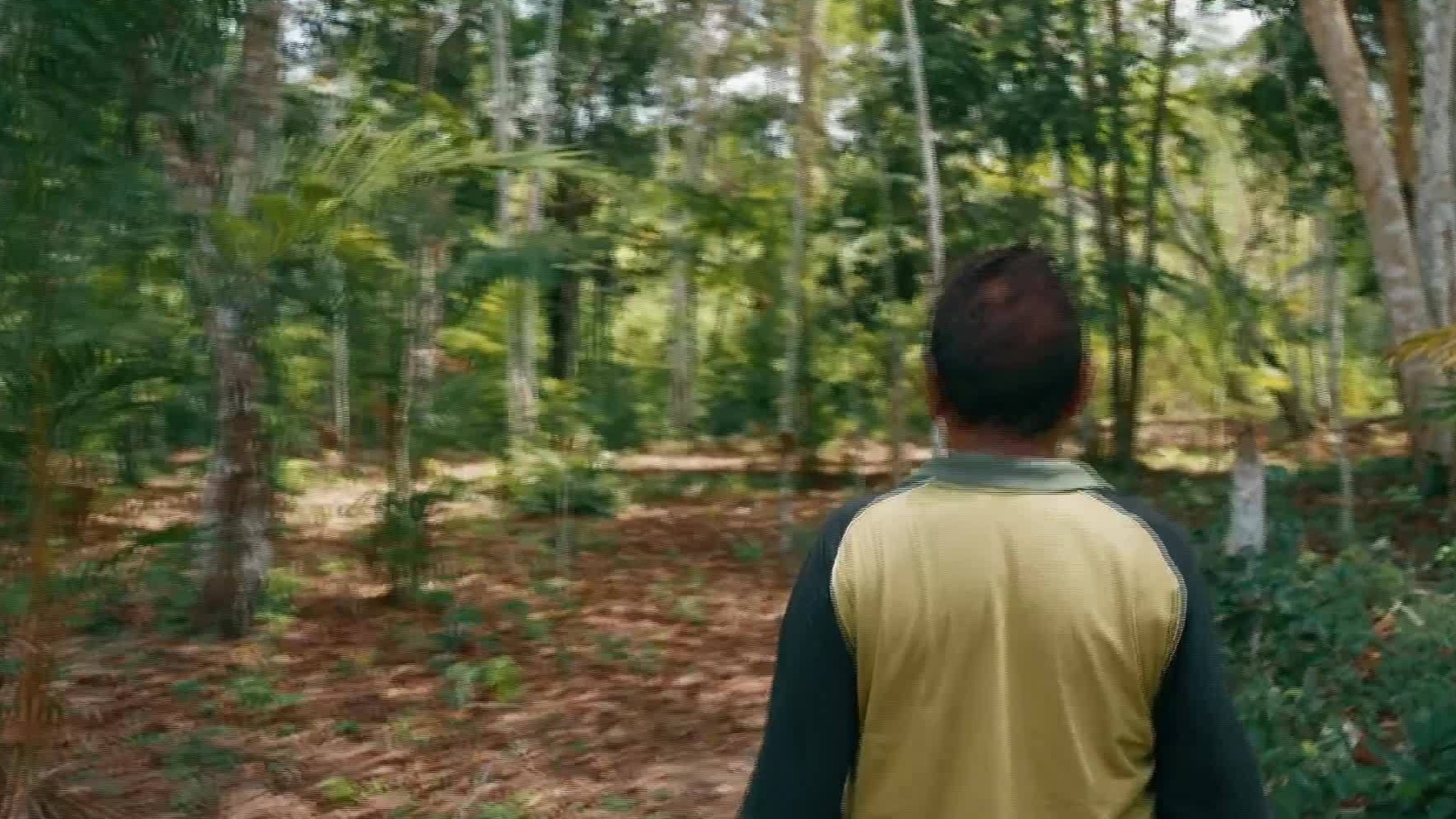 Amazônia: Novas Histórias : Carbono Neutro