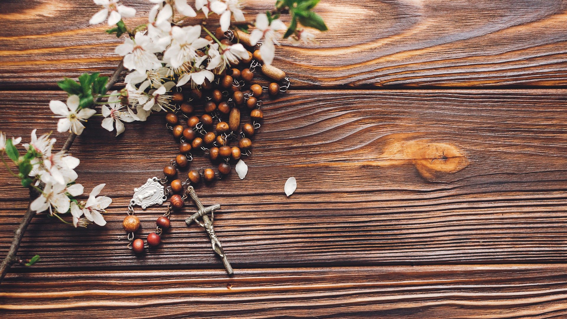 Novena dos Filhos e Filhas de São José