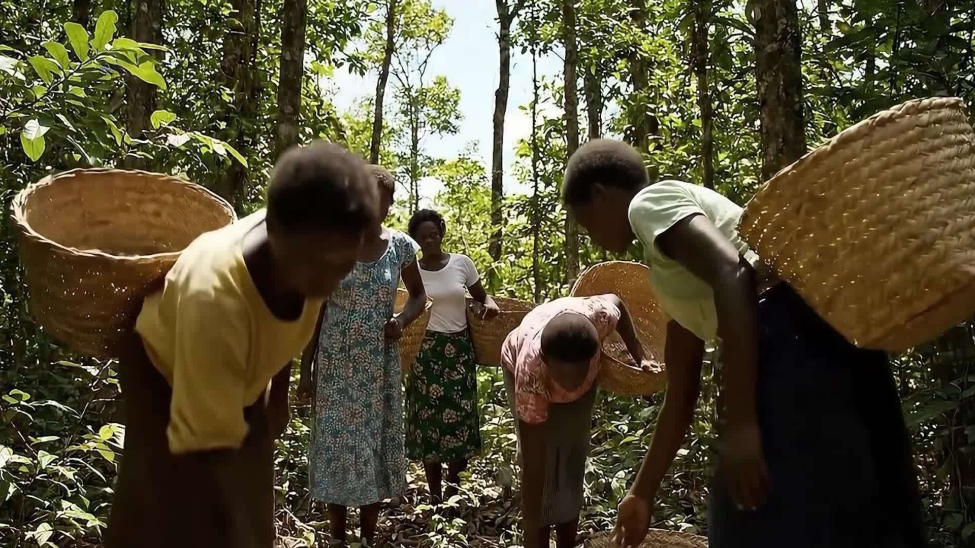 Sou Quilombola : História e Resistência