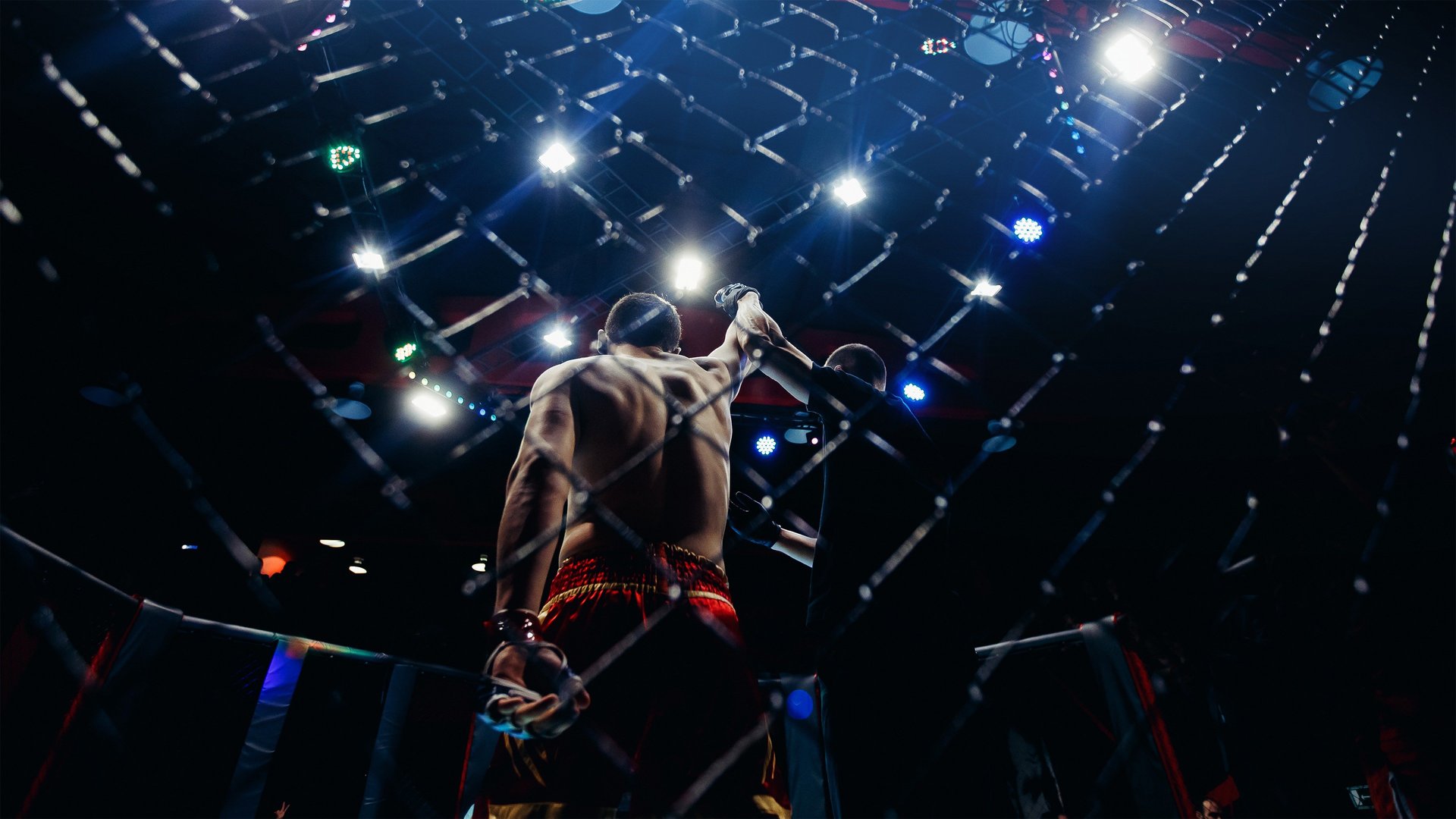 SFT: Standout Fighting Tournament