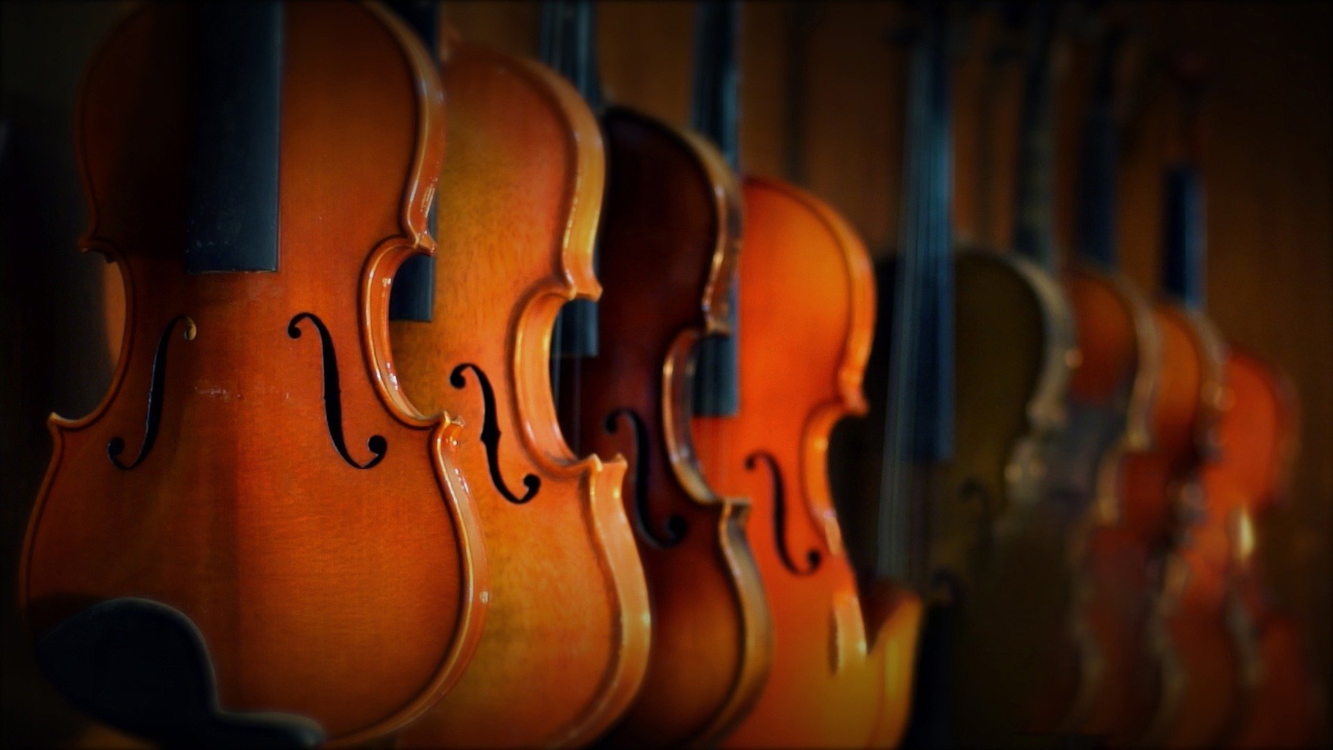 Concertos em Geral : Voz